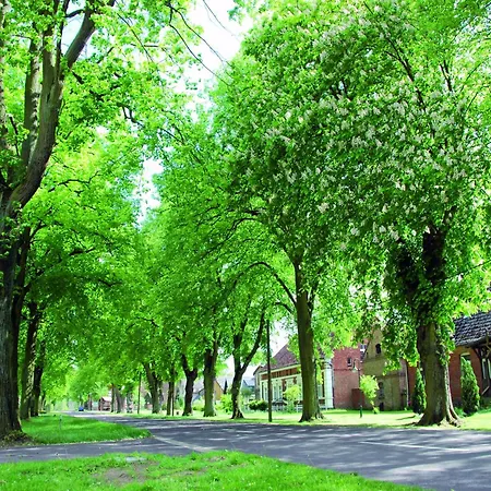 Reihenhaus Mit Wlan In Am Mueritzsee Holiday home *