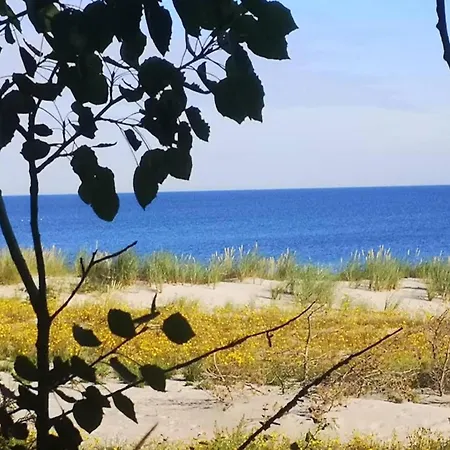 Idyllisches Reihenhaus Mit Wlan In Am Mueritzsee *