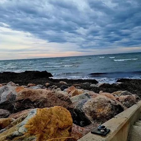Reihenhaus Mit Wlan In Am Mueritzsee * Buchholz (Mecklenburg-Vorpommern)