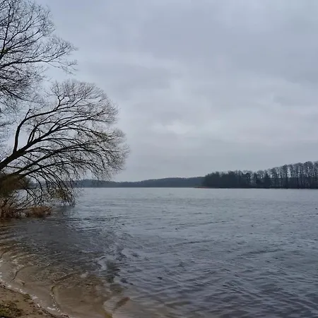 Idyllisches Reihenhaus Mit Wlan In Am Mueritzsee