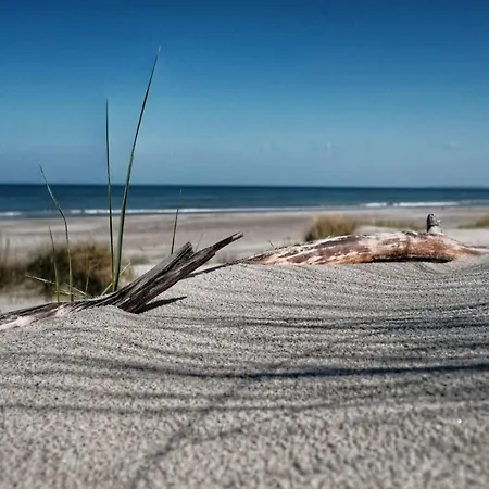 Reihenhaus Mit Wlan In Am Mueritzsee Holiday home